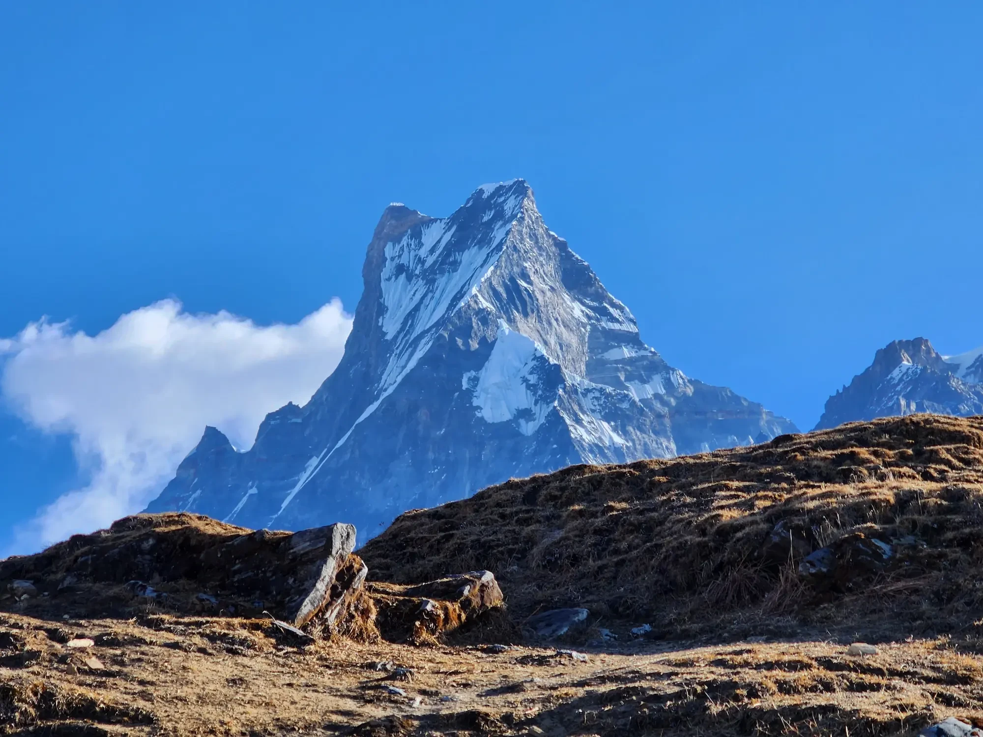Mardi Himal Trek- 10 Days